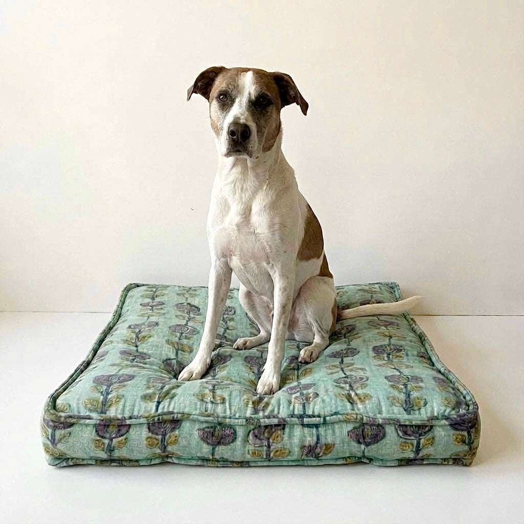 Dog sitting on a patterned dog bed against a white background