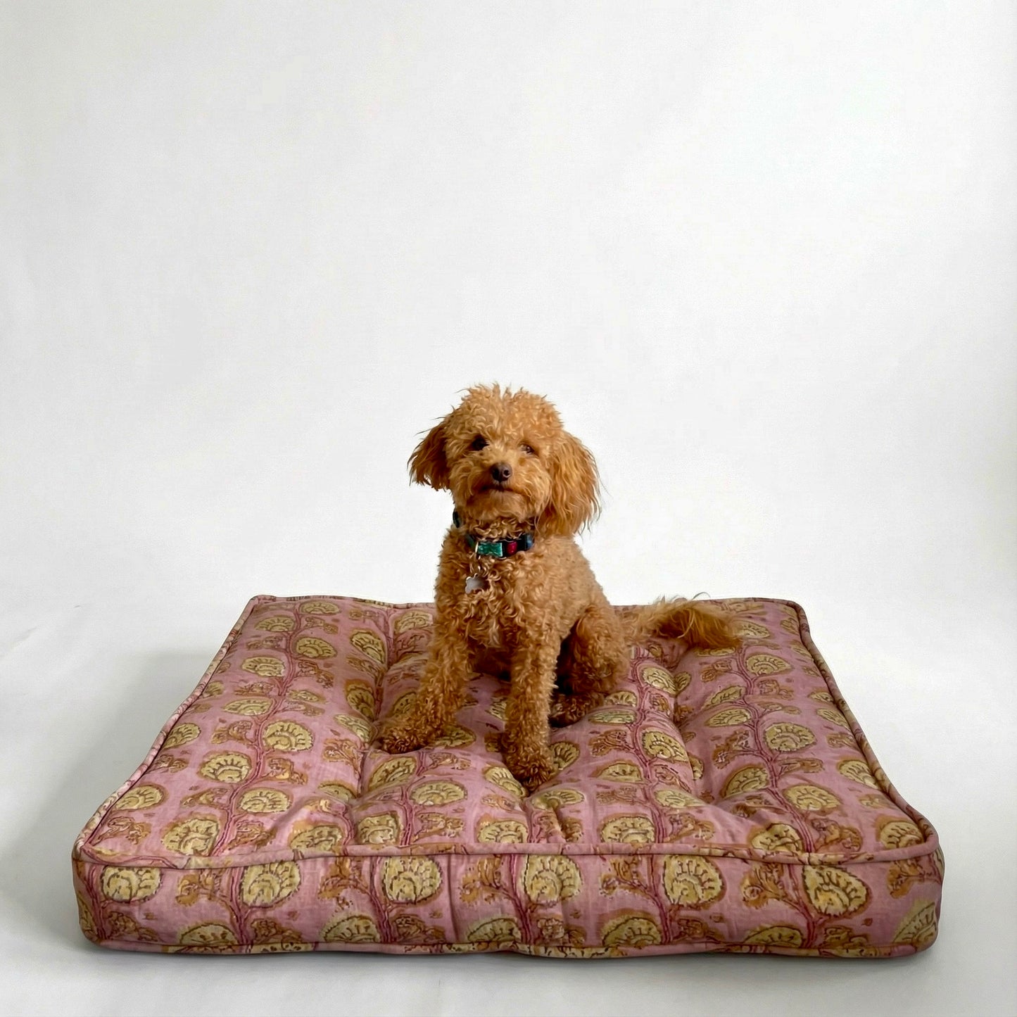 Dog sitting on a patterned dog bed against a white background
