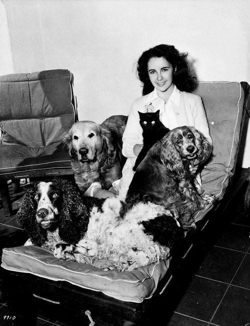 Elizabeth Taylor & Friends