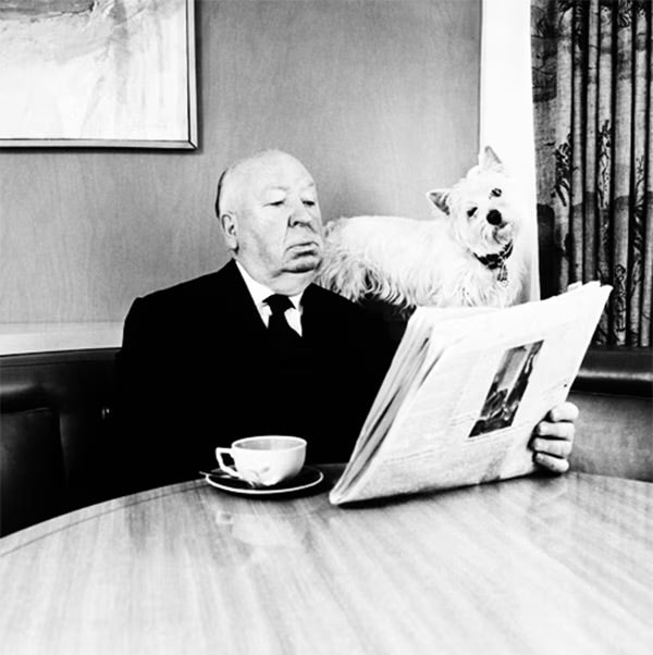 Alfred Hitchcock Dog