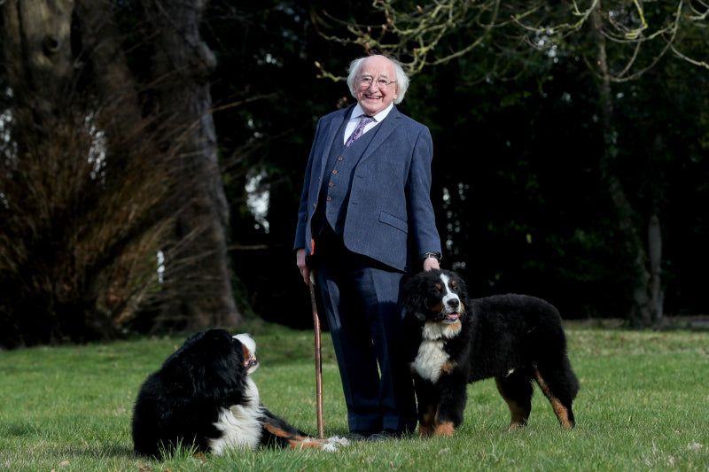 Irish President Michael Higgins and his dog