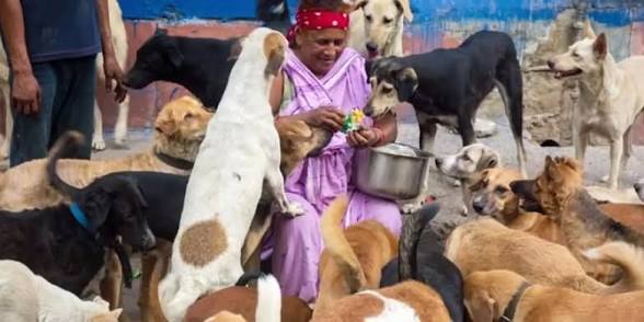 Partima Devi and Dogs