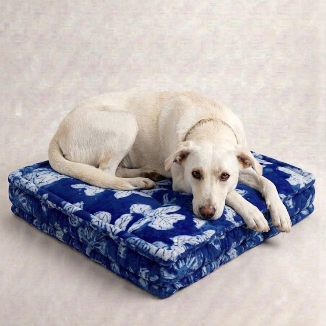 Eddie - Blue and White Floral Print