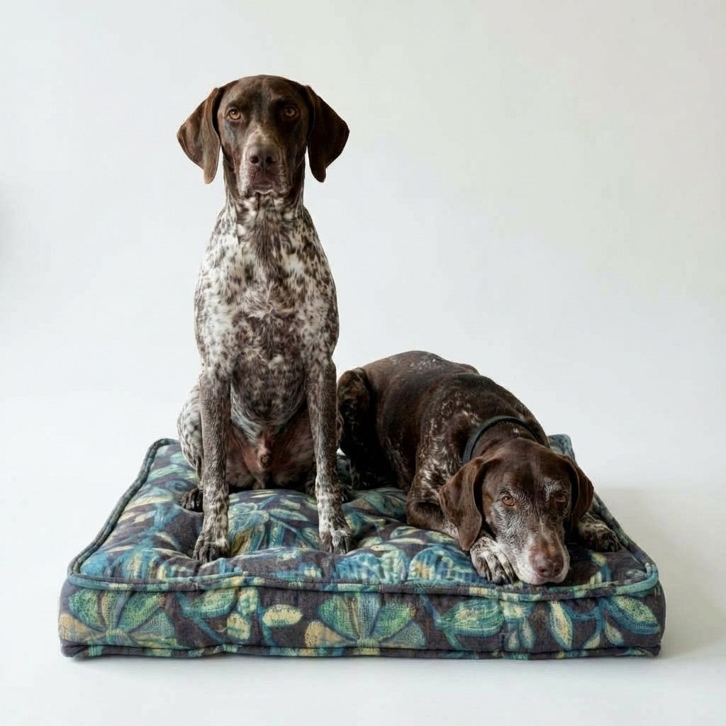 Two dogs sitting on a floral-patterned dog bed against a white background