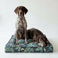 Two dogs sitting on a floral-patterned dog bed against a white background