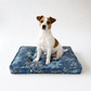 Dog sitting on a blue patterned dog bed against a white background
