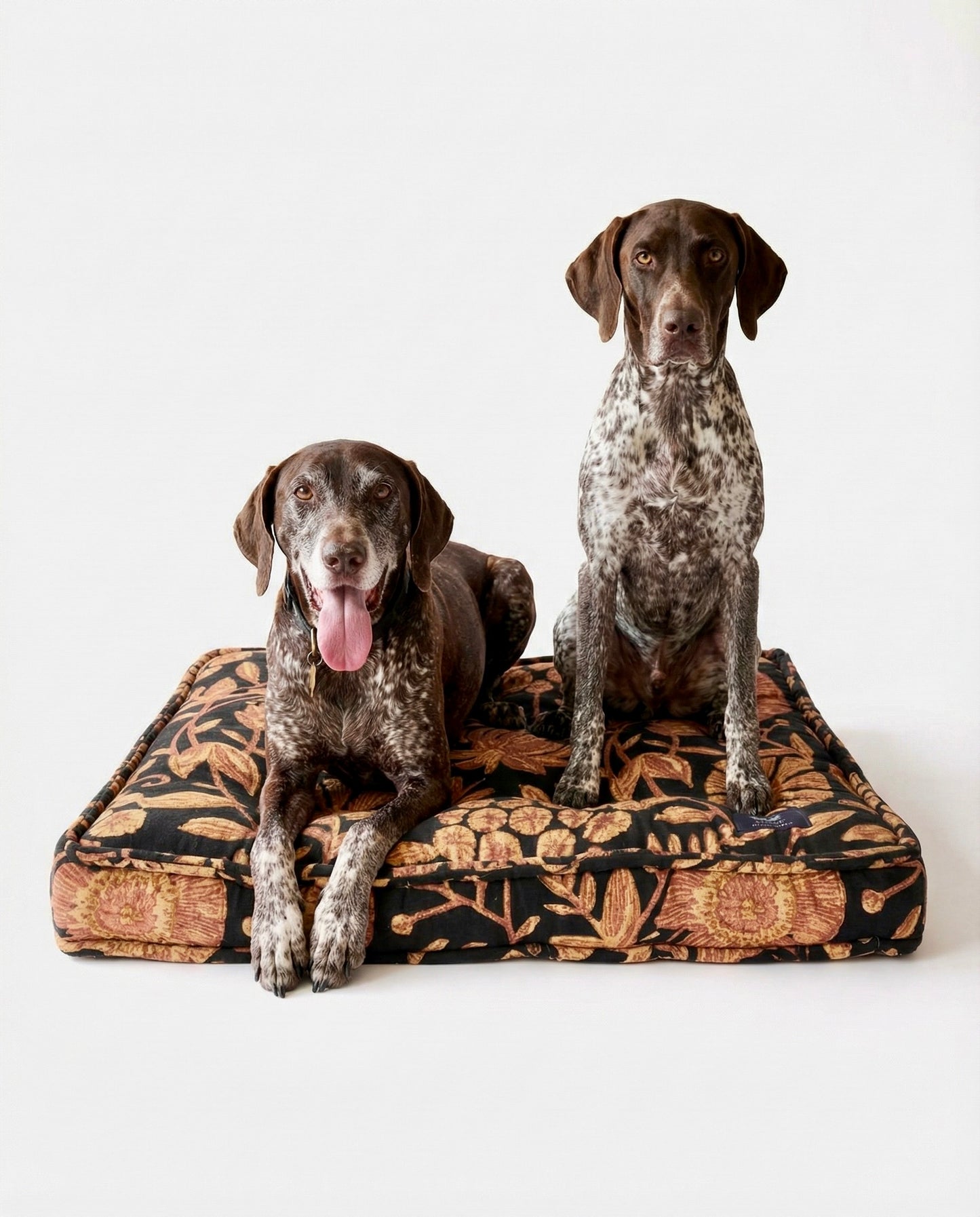 Two dogs sitting on a patterned dog bed against a white background