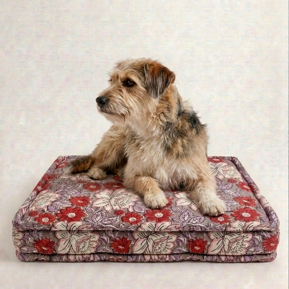 Dog sitting on a floral-patterned dog bed against a plain background