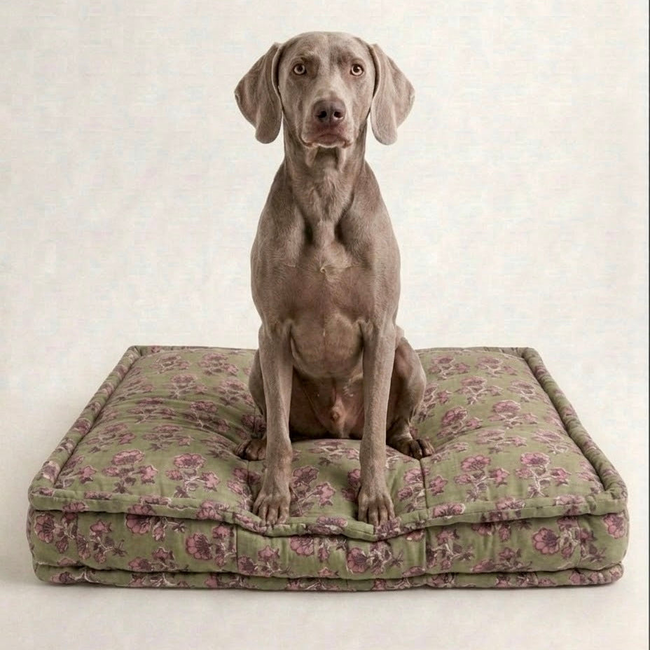 Dog sitting on a floral-patterned dog bed against a plain background