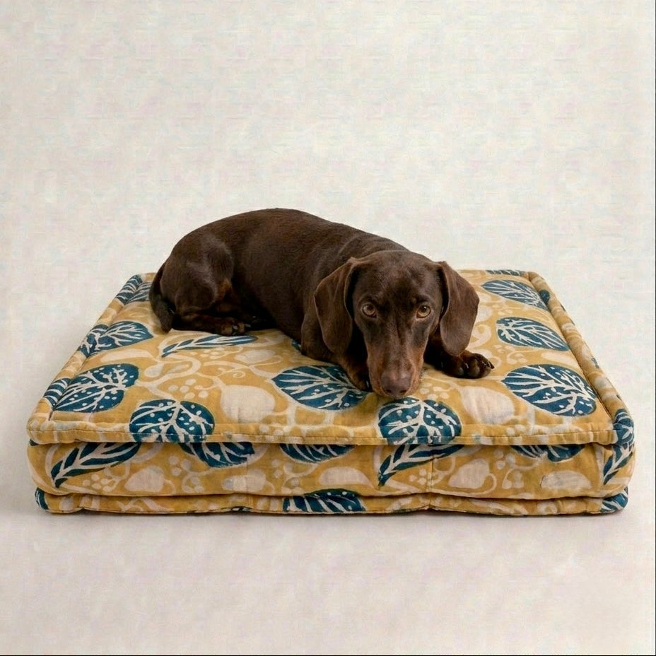 Dog lying on a patterned dog bed with a beige background