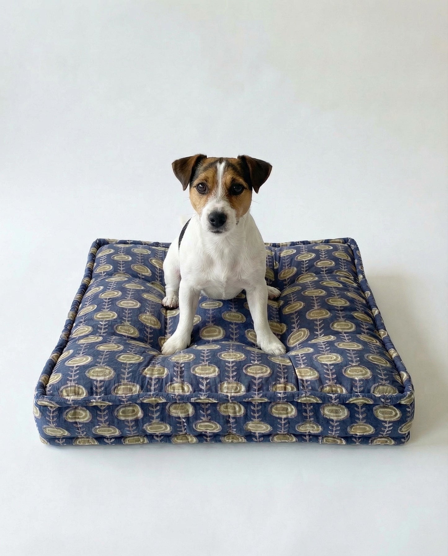 Dog sitting on a grey patterned dog bed against a white background