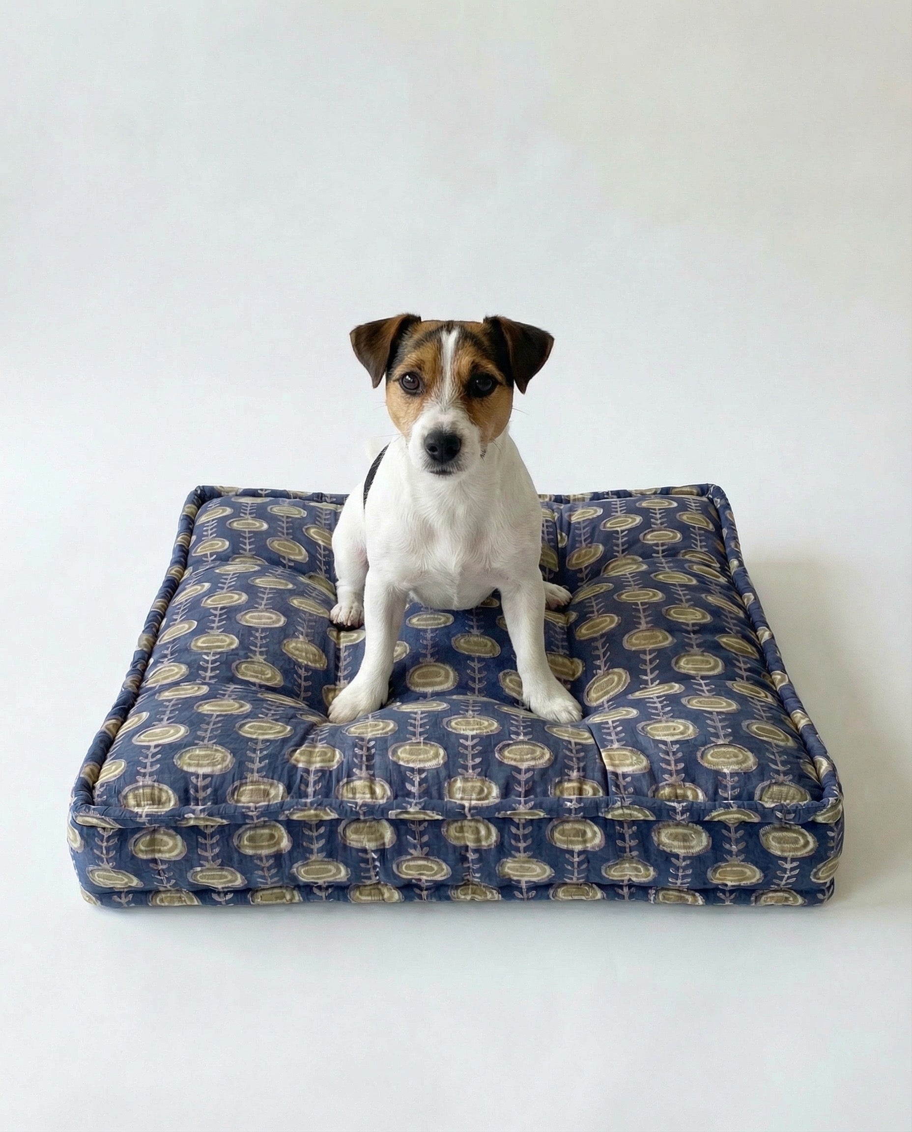 Dog sitting on a grey patterned dog bed against a white background