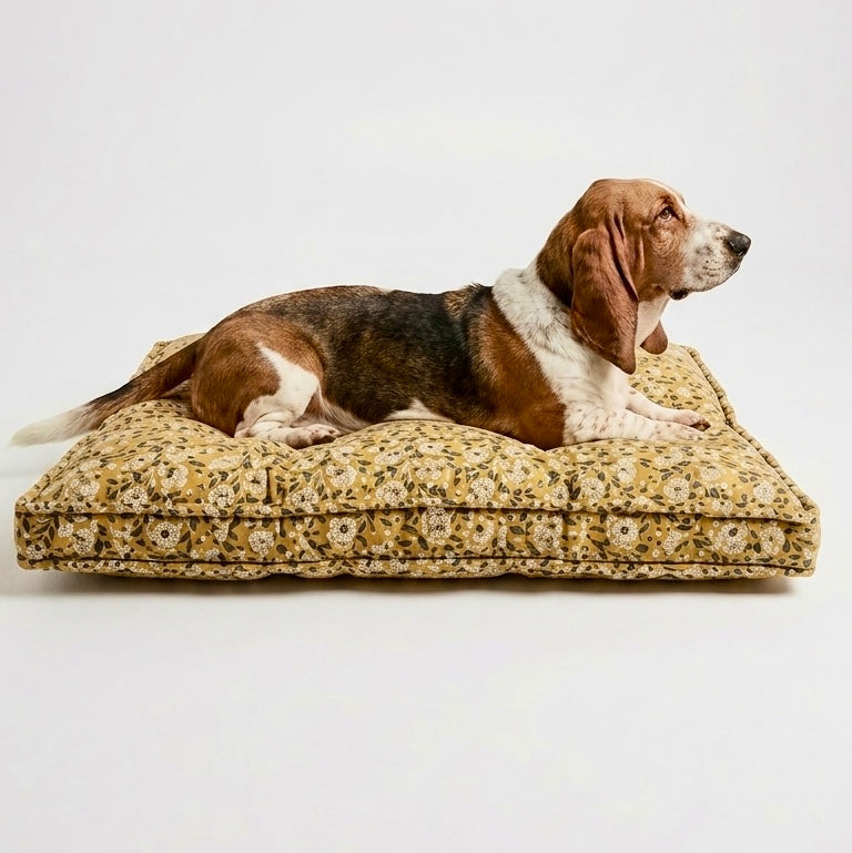 Dog lying on a textured pet bed against a white background