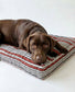 Dog lying on a striped dog bed with a white background