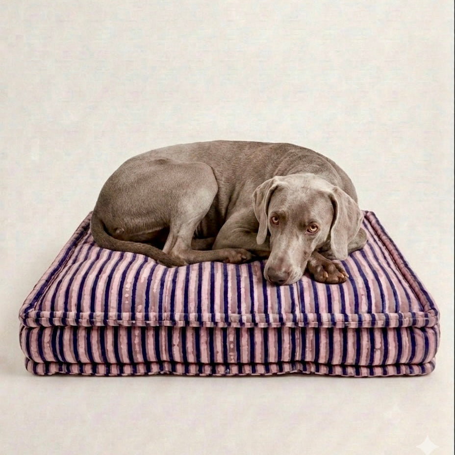 Dog lying on a striped pet bed against a plain background