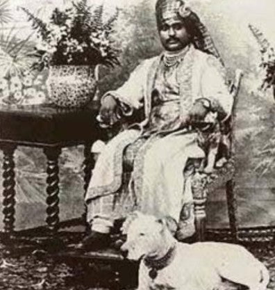 Noble Dog Wedding Mahabat Khanji Noble
