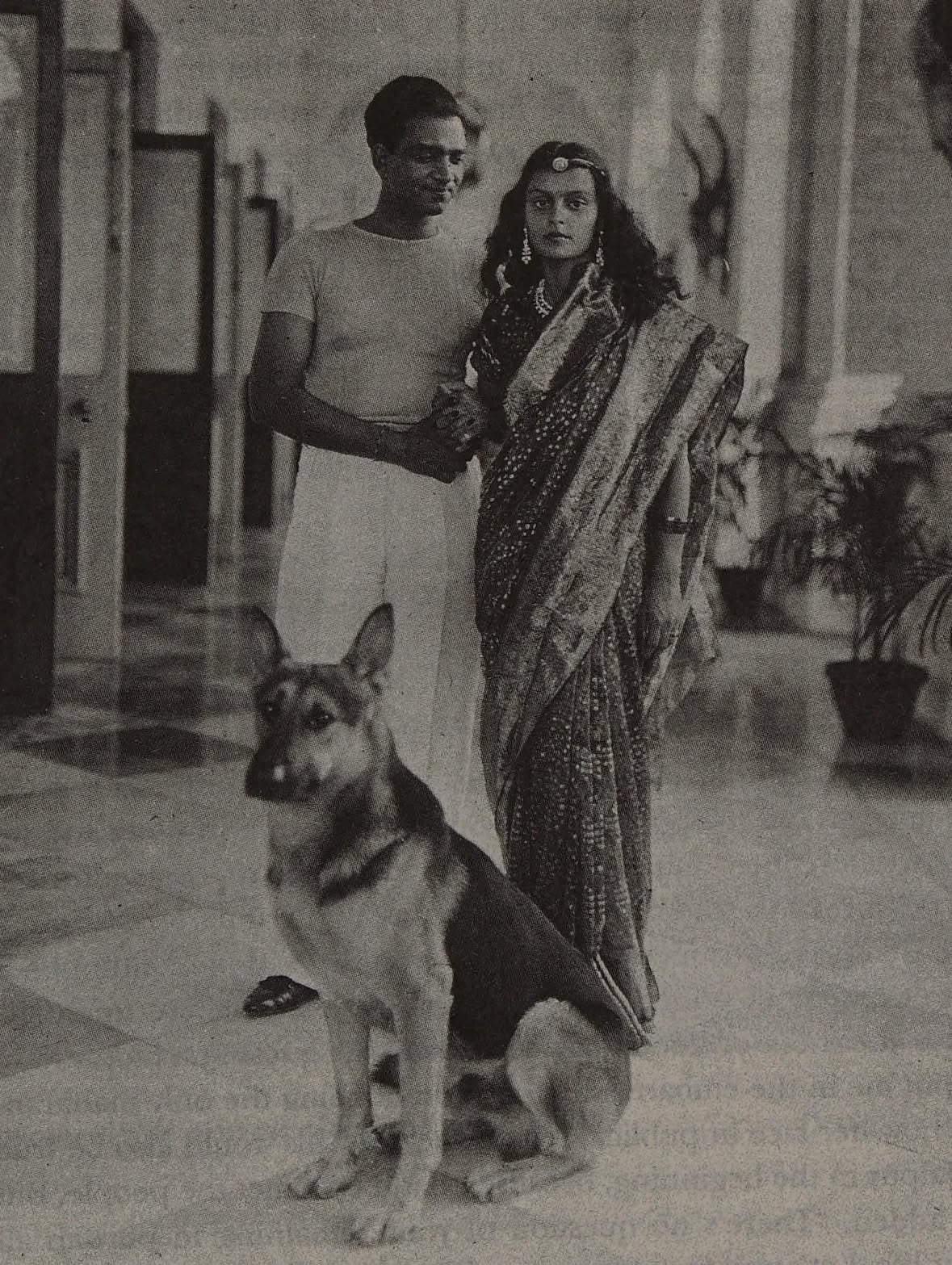 Raja Doggo Royal Rajasthan Dogs