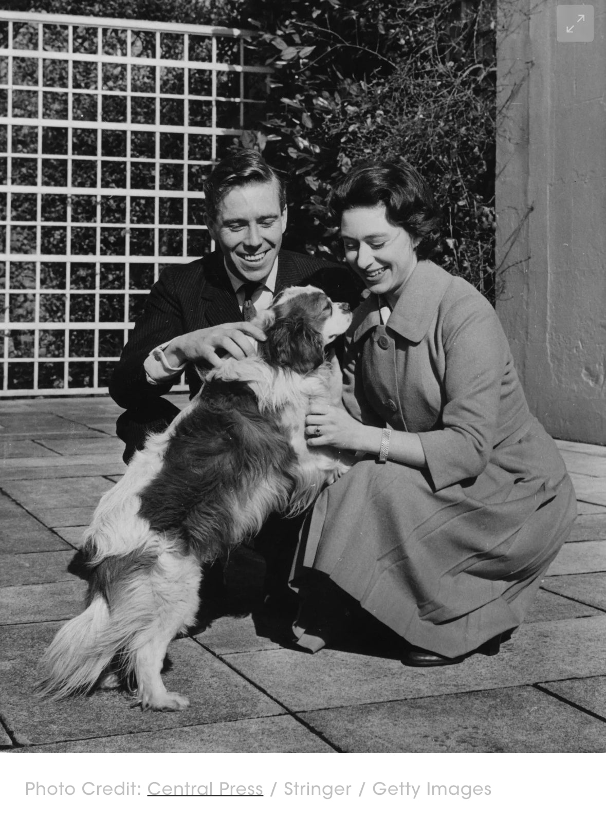 Man and woman with a dog outdoors, sitting on a wooden deck.