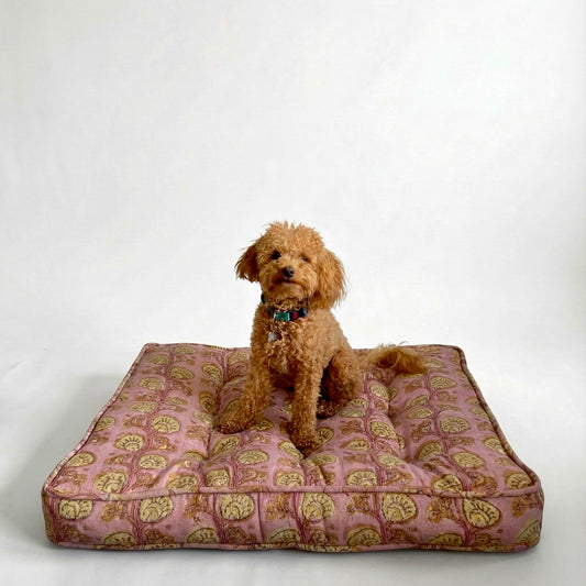 Dog sitting on a patterned dog bed against a white background