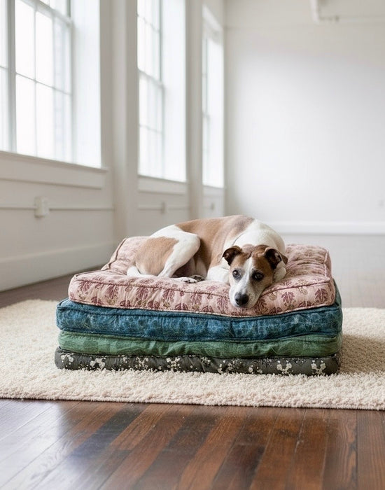 Dog in Brooklyn Loft on organic handcrafted luxury dog beds