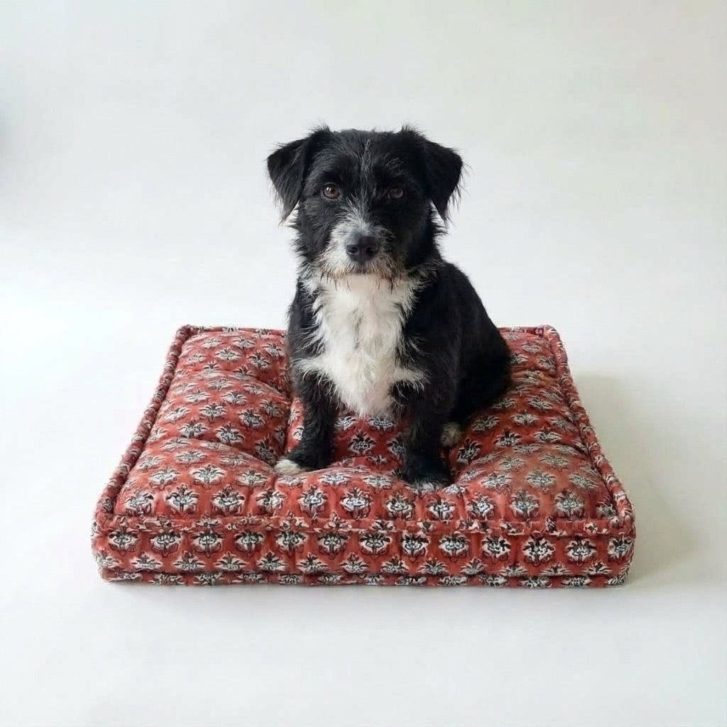 Dog sitting on a red patterned dog bed against a white background