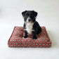 Dog sitting on a red patterned dog bed against a white background
