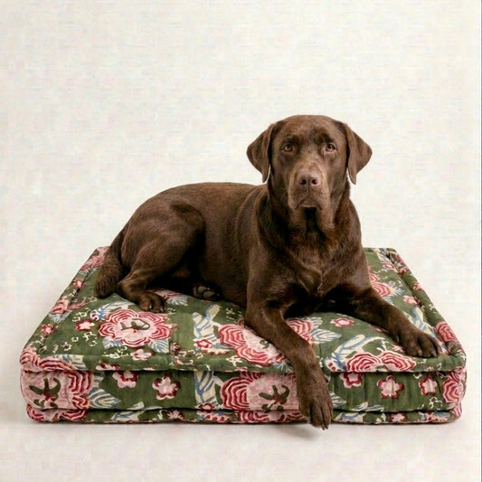 Dog sitting on a floral-patterned dog bed with a plain background