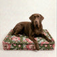 Dog sitting on a floral-patterned dog bed with a plain background