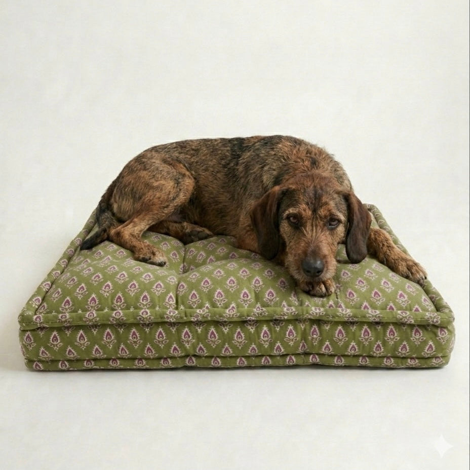 Dog lying on a green patterned pet bed against a white background