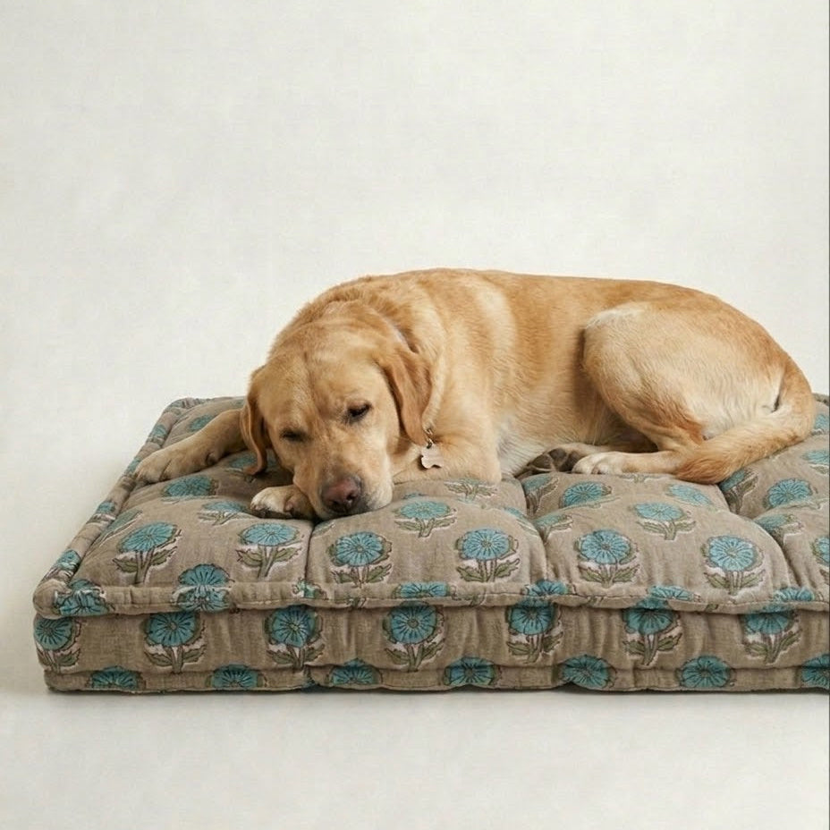Dog lying on a Maharaja size patterned dog bed against a plain background