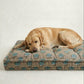 Dog lying on a Maharaja size patterned dog bed against a plain background