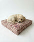 Dog lying on a patterned dog bed with a pink label on a white background