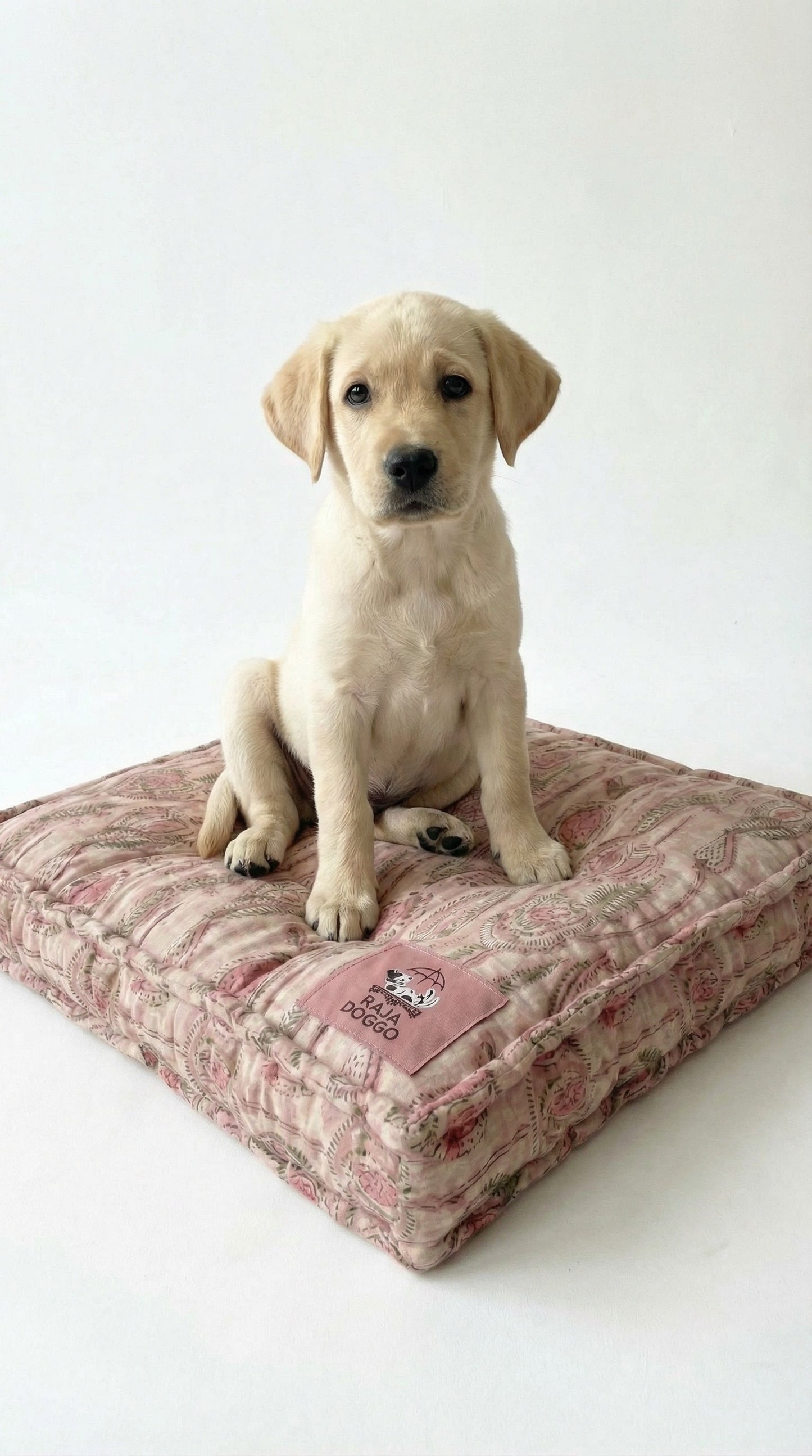 Puppy sitting on a patterned dog bed against a white background